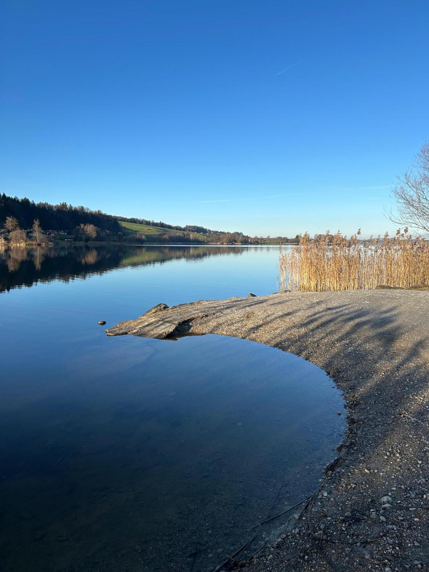 Ferienwohnungen Am See Obertrum am See Exteriér fotografie